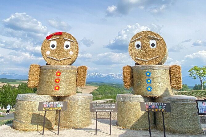 Furano and Biei Special Complete package - Practical Tips for Your Day