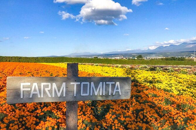 furano-biei-4-hour-tour-english-speaking-driver-only-no-guide