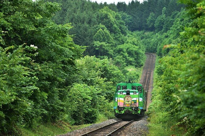 furano-biei-6-hour-tour-english-speaking-driver-only-no-guide