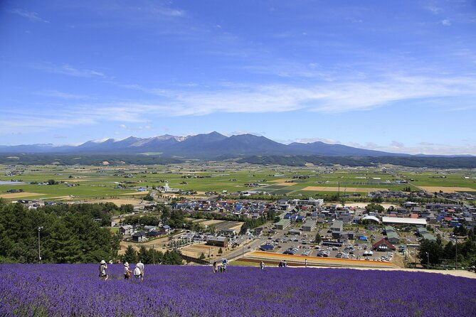 furano-biei-blue-pond-full-day-private-tour-up-to-21-pax
