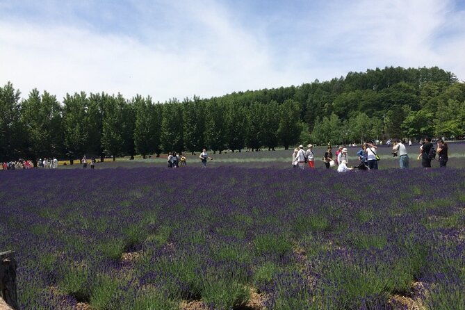 furano-biei-blue-pond-full-day-private-tour-up-to-21-pax