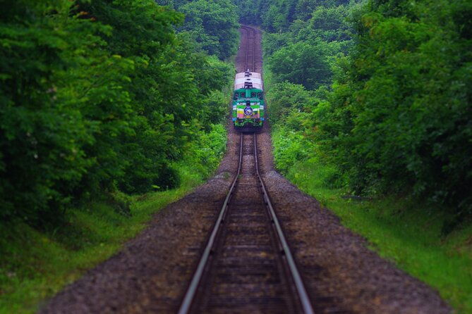 furano-biei-tour-sapporo-dep-english-speaking-driver-no-guide