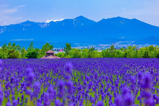 furano-private-customizable-half-day-tour