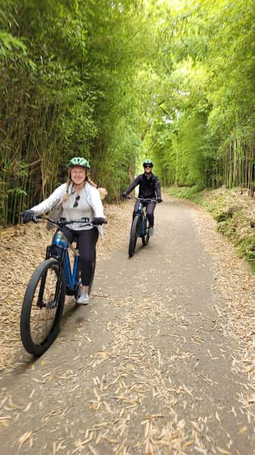 Furnas: Guided e-bike tour with Cheese Tasting - Why This Tour Offers Excellent Value