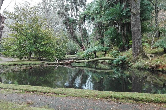 furnas-lake-hotsprings-and-gardens-van-tour