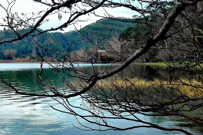 furnas-lake-hotsprings-and-gardens-van-tour