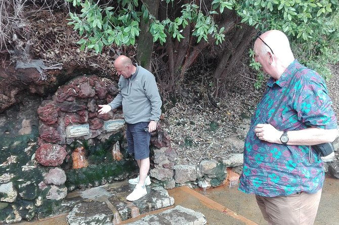 furnas-lake-hotsprings-and-gardens-van-tour