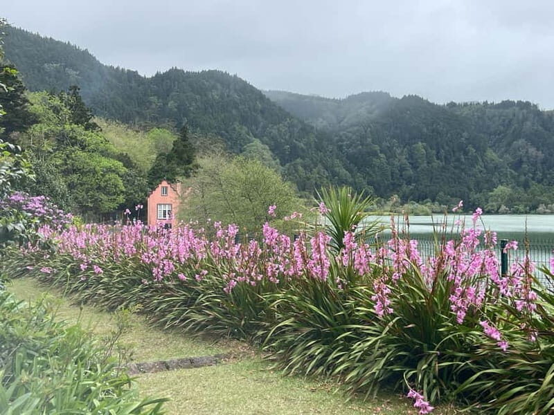 Furnas: Private Tour with Hike & Terra Nostra Hot Springs - Relaxing in Terra Nostra Hot Springs