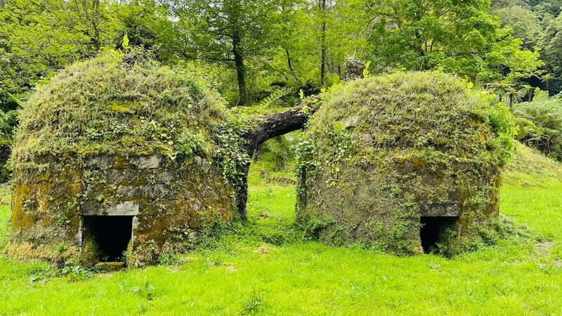 Furnas: Private Tour with Hike & Terra Nostra Hot Springs - Who Is This Tour Best For?