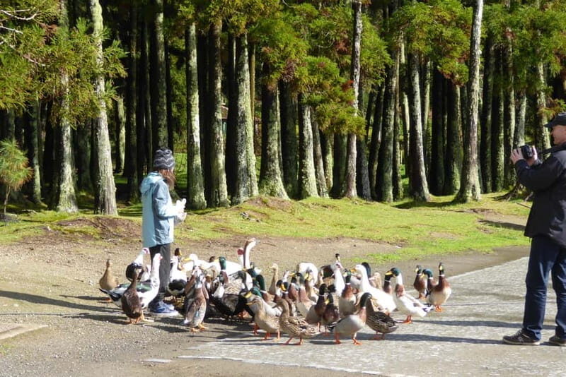 Furnas: Private Tour with Hike & Terra Nostra Hot Springs - FAQ