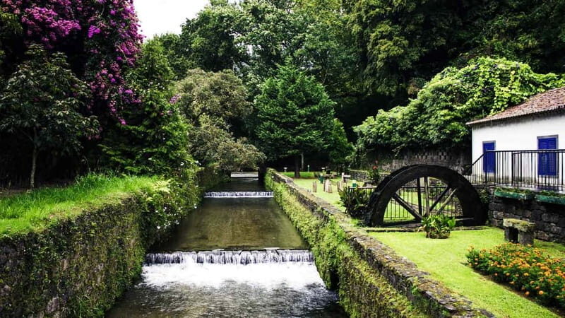 Furnas & Terra Nostra Botanic Park Tour w/Lunch + Hotsprings - What Makes This Tour Stand Out