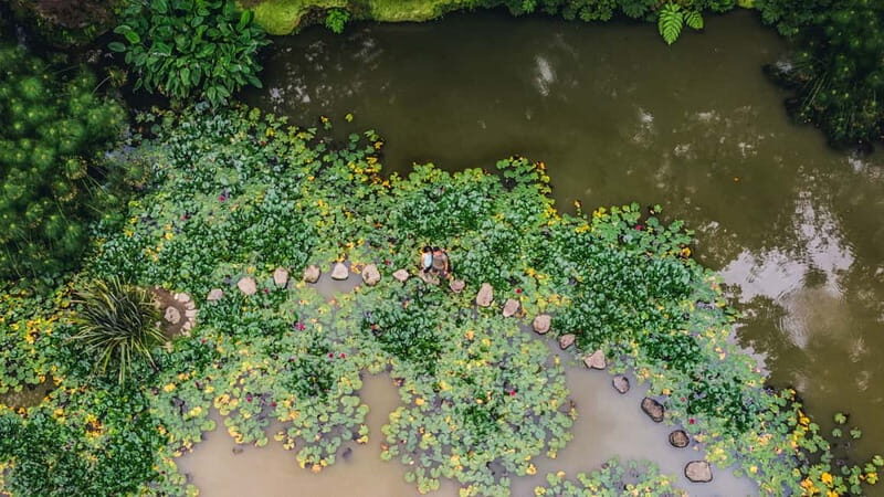 Furnas & Terra Nostra Gardens Biologist-guided Tour +lunch - Key Points