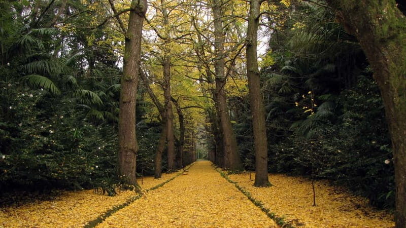 Furnas & Terra Nostra Gardens Biologist-guided Tour +lunch - What Makes This Tour Worth It?