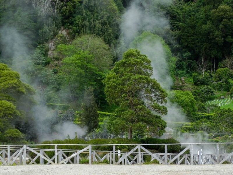 furnas-thermal-springs-tea-plantation-day-tour-with-lunch