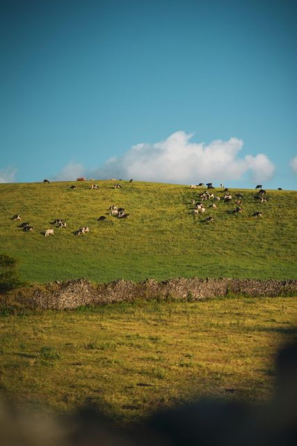 furnas-thermal-springs-tea-plantation-day-tour-with-lunch