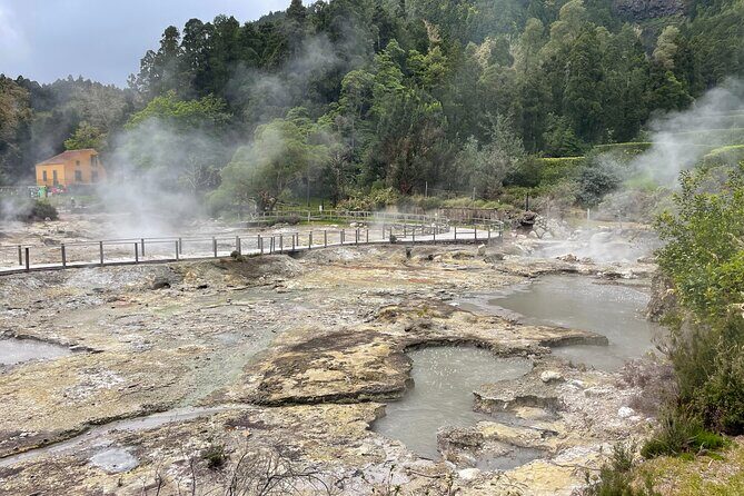 Furnas Vale, Gorreana Tea Factory Private Van Tour - Practical Details and What You Should Know
