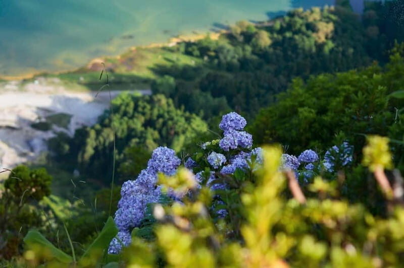 Furnas Volcano: Full Day Tour, Hot Springs & Waterfalls - Practical Tips for Travelers
