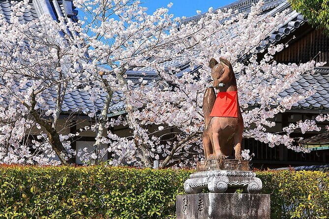 Fushimi Cherry Blossom and Sake Brewery Tour - FAQs