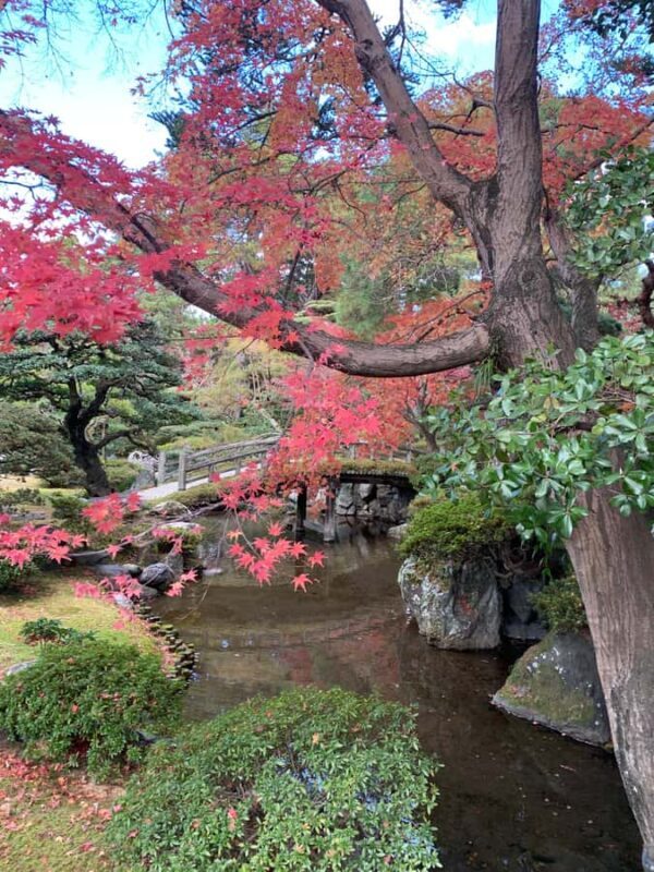 Fushimi Inari Deep Adventure: Hidden Trails & Shrine Ritual - Fushimi Inari Deep Adventure: Hidden Trails & Shrine Ritual Review