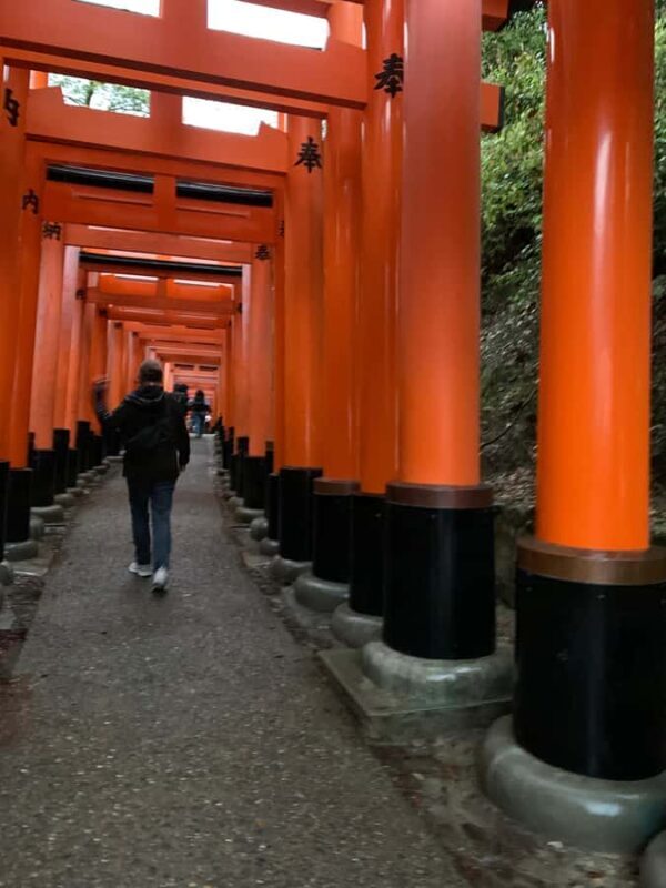 Fushimi Inari Deep Adventure: Hidden Trails & Shrine Ritual - A Close Look at the Itinerary