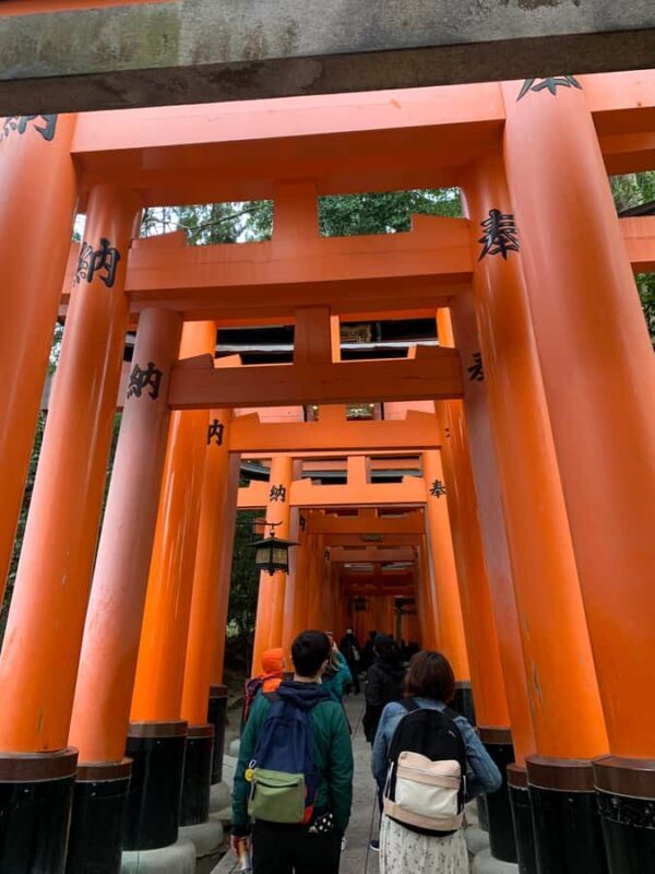 Fushimi Inari Deep Adventure: Hidden Trails & Shrine Ritual - What This Tour Offers Over the Typical Visit