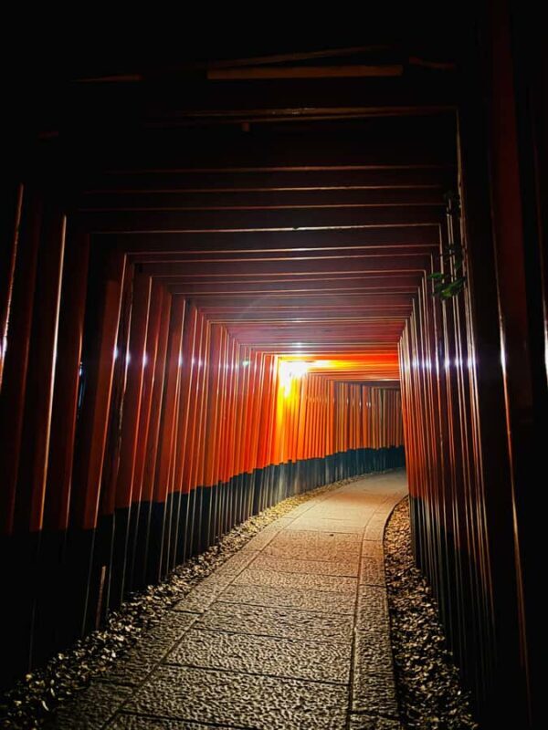 Fushimi Inari Night Hike - What Makes This Tour a Standout?