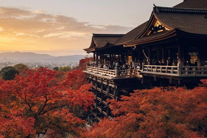 fushimi-inari-shrine-and-nara-park-day-tour-from-osaka-and-kyoto