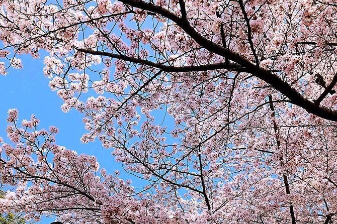 fushimi-inari-shrine-and-nara-park-day-tour-from-osaka-and-kyoto