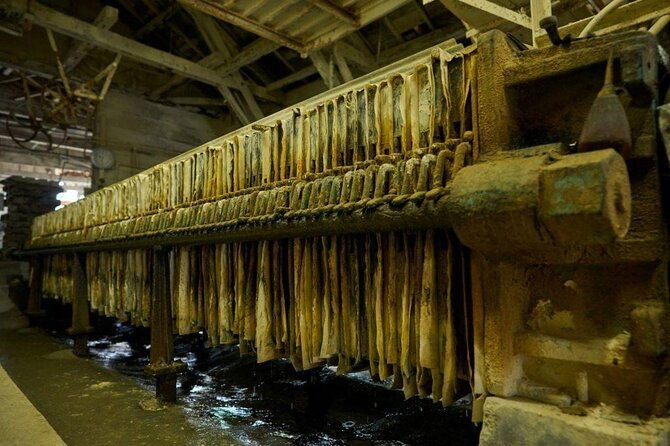 futamata-clay-factory-tour