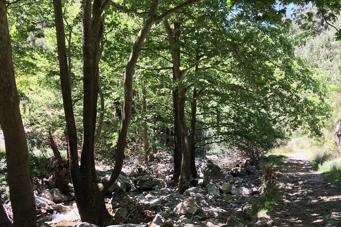 fygou-and-agia-irini-gorge-loop-half-day-hiking-tour