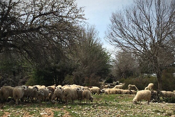 fygou-and-agia-irini-gorge-loop-half-day-hiking-tour