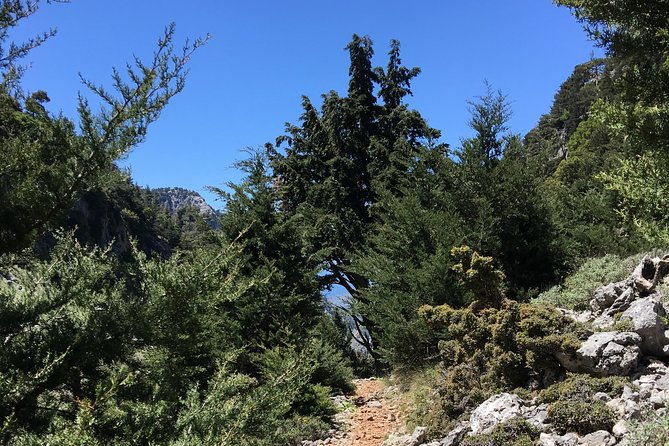 fygou-and-agia-irini-gorge-loop-half-day-hiking-tour