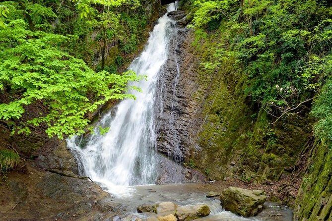 Gabala Private Tour - Final Thoughts