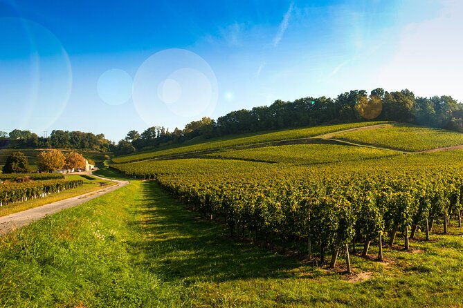 gaillac-wine-half-day-tour-from-toulouse