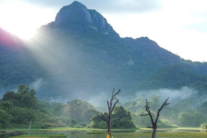 Gal Oya National Park Safari - Authentic Experiences and Practical Tips