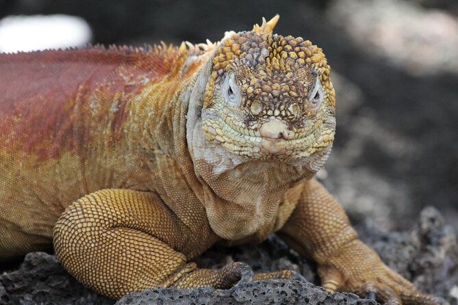 galapagos-active-adventure-three-islands-8-days