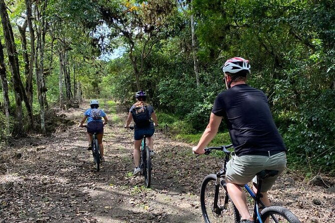 galapagos-bicycle-rental
