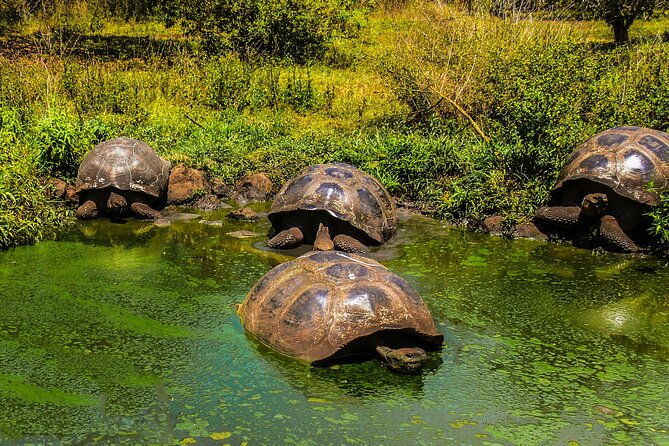 galapagos-by-land-and-sea-4d-3n