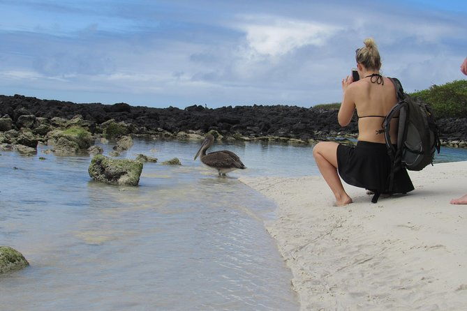 galapagos-enchanting-3-islands-5-days