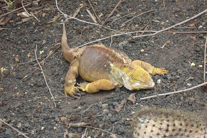 galapagos-enchanting-3-islands-5-days