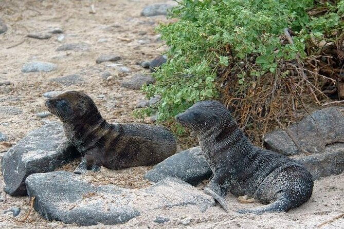 galapagos-exploring-san-cristobal-island-4-days