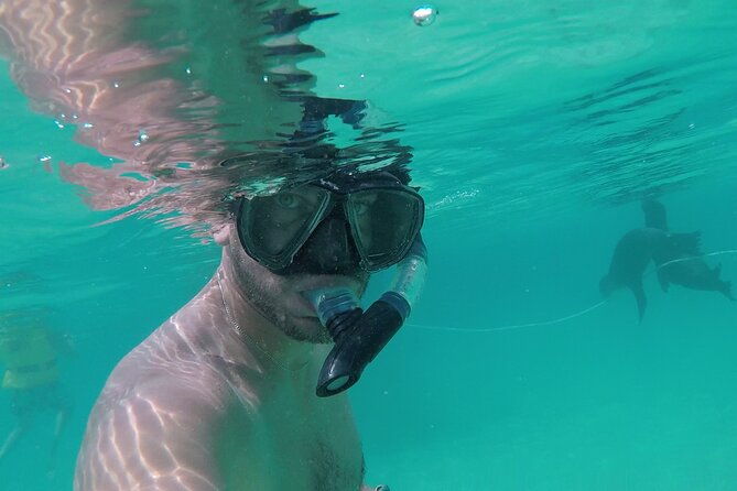 galapagos-hoping-islands-7-days-experience-4-islands