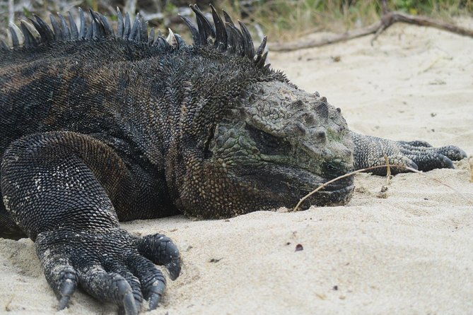 galapagos-island-hopping-santa-cruz-san-cristobal-and-isabela