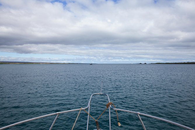 galapagos-islands-airport-arrival-transfer
