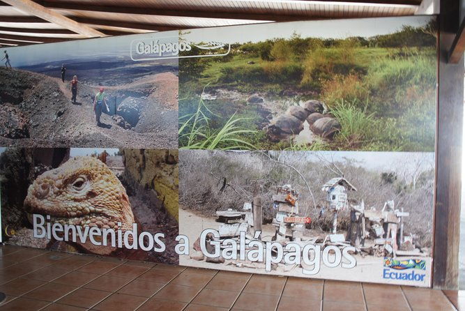 galapagos-islands-airport-arrival-transfer