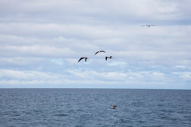 galapagos-islands-airport-arrival-transfer