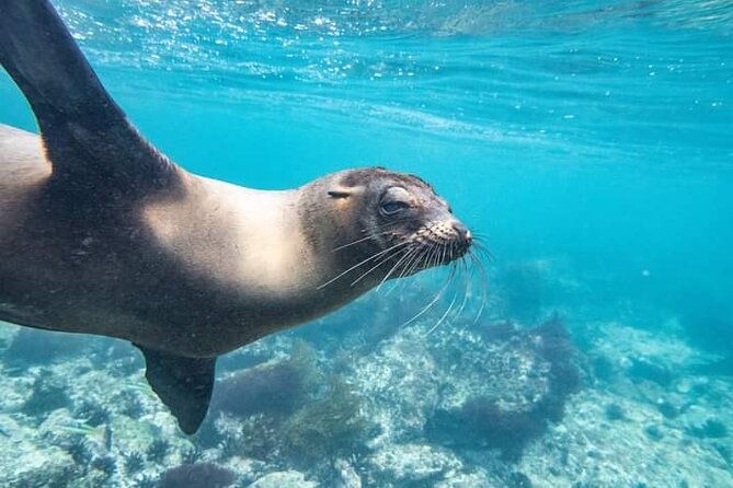 galapagos-native-program-8-days-ecuador