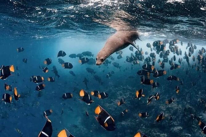 galapagos-native-program-8-days-ecuador