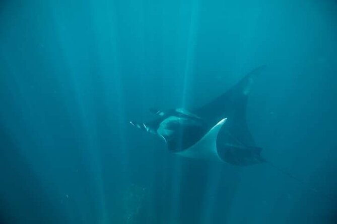 galapagos-native-program-8-days-ecuador