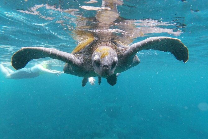 galapagos-native-program-8-days-ecuador